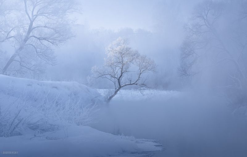 истра, река, зима, мороз, туман, иней, дерево Речной призрак фото превью