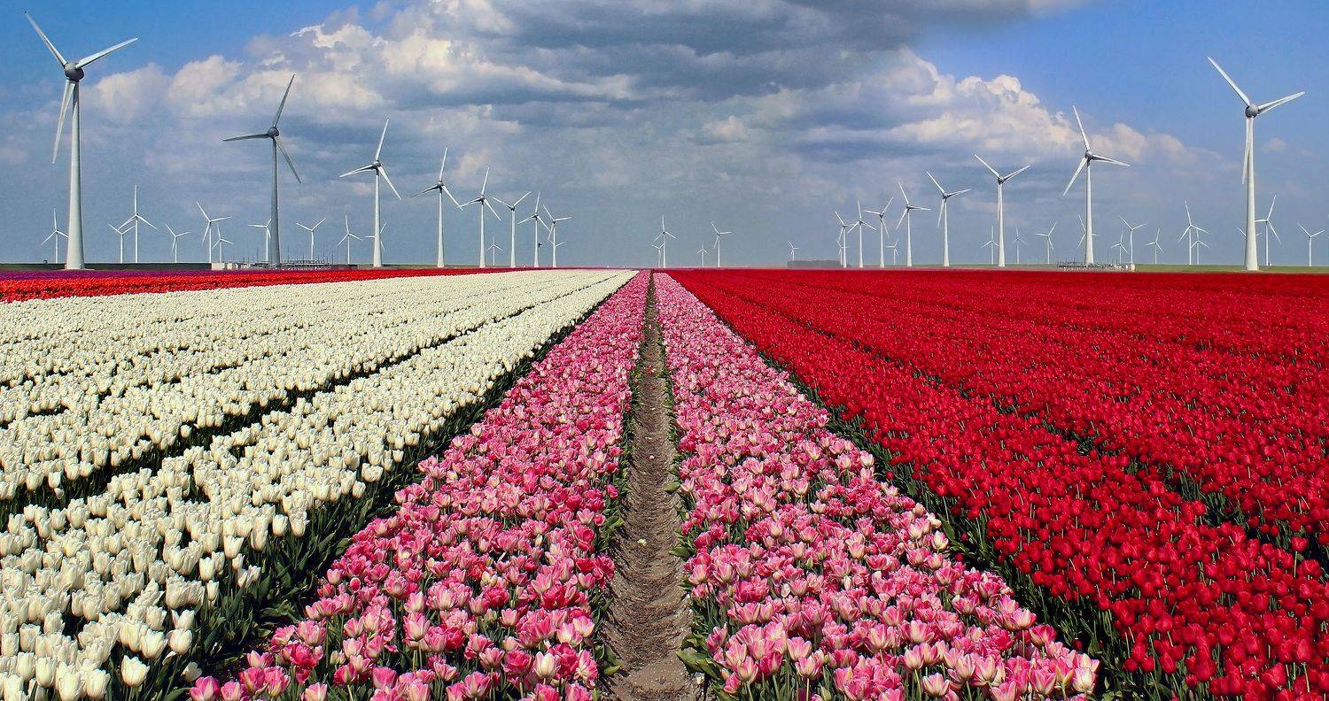 , Вадим Городницкий