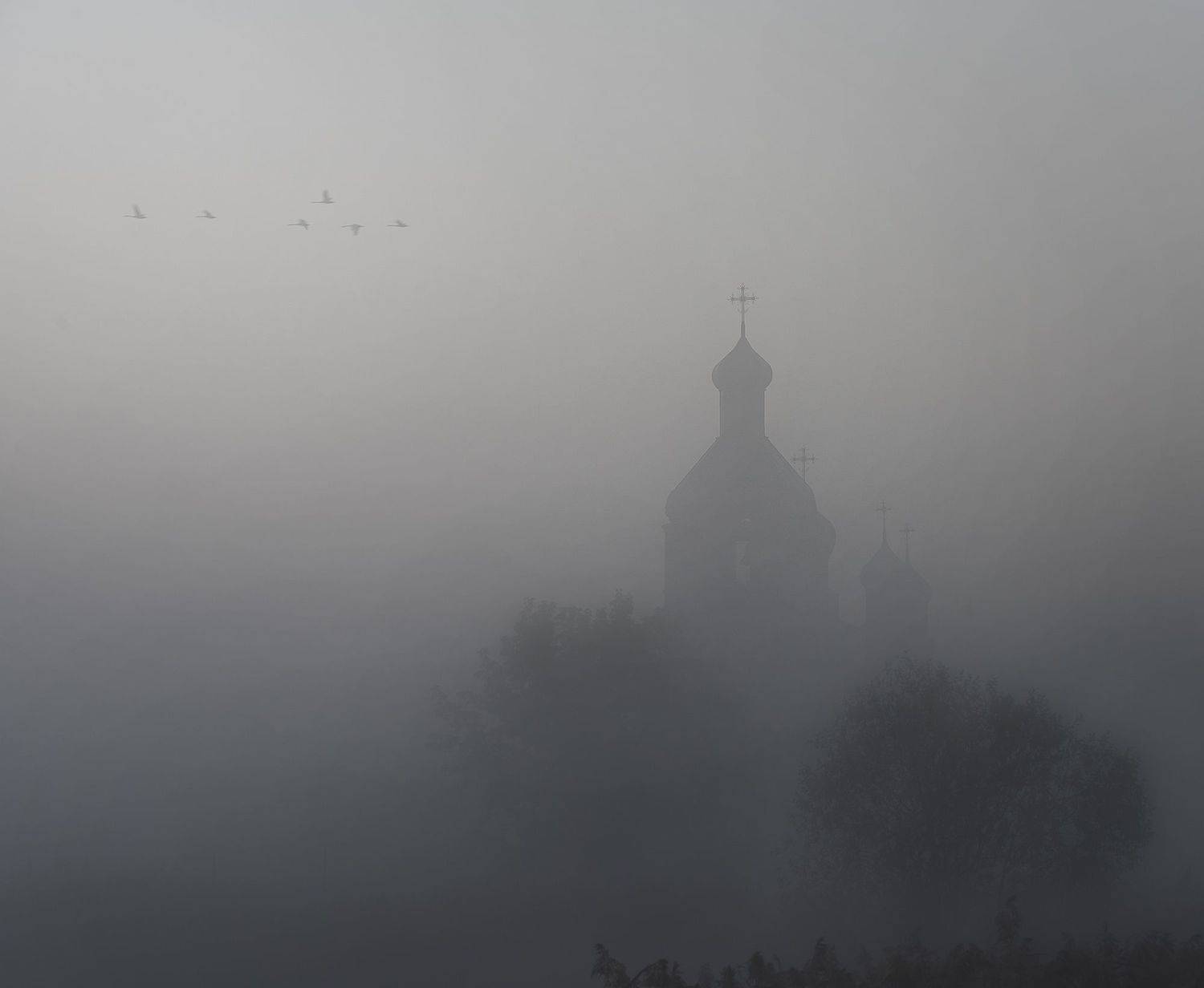 , Александр Степочкин