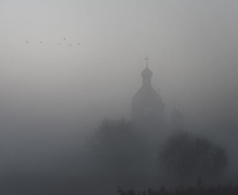 рано утром фото превью