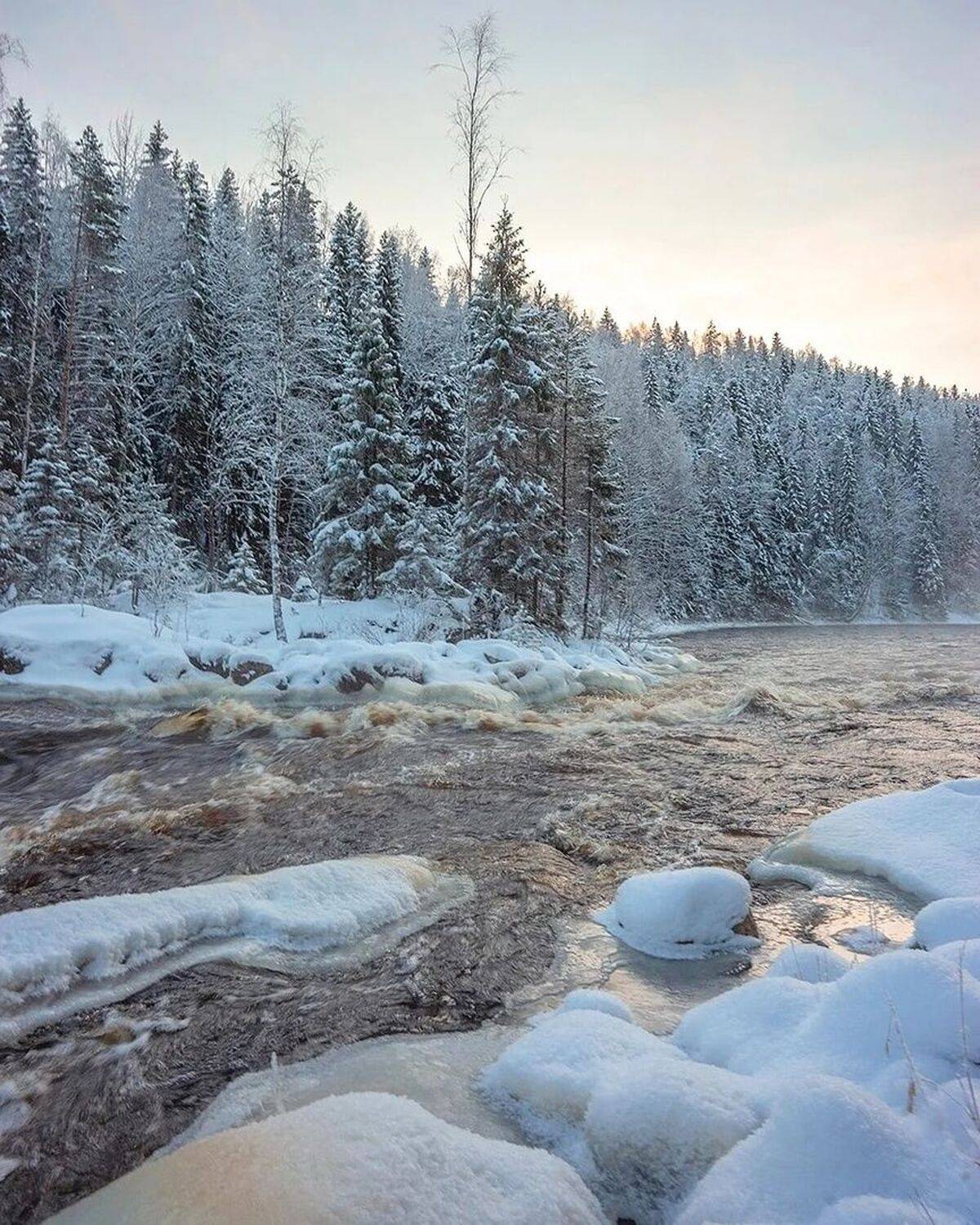 , Петр Косых