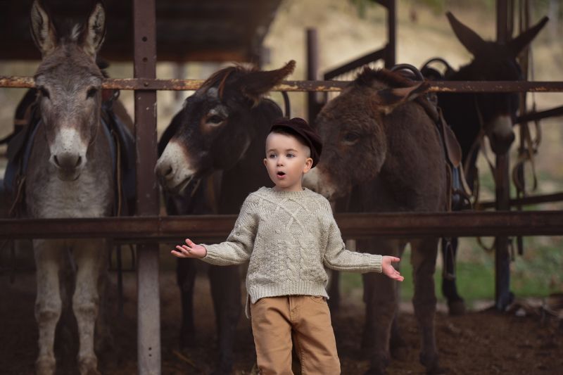 фото превью