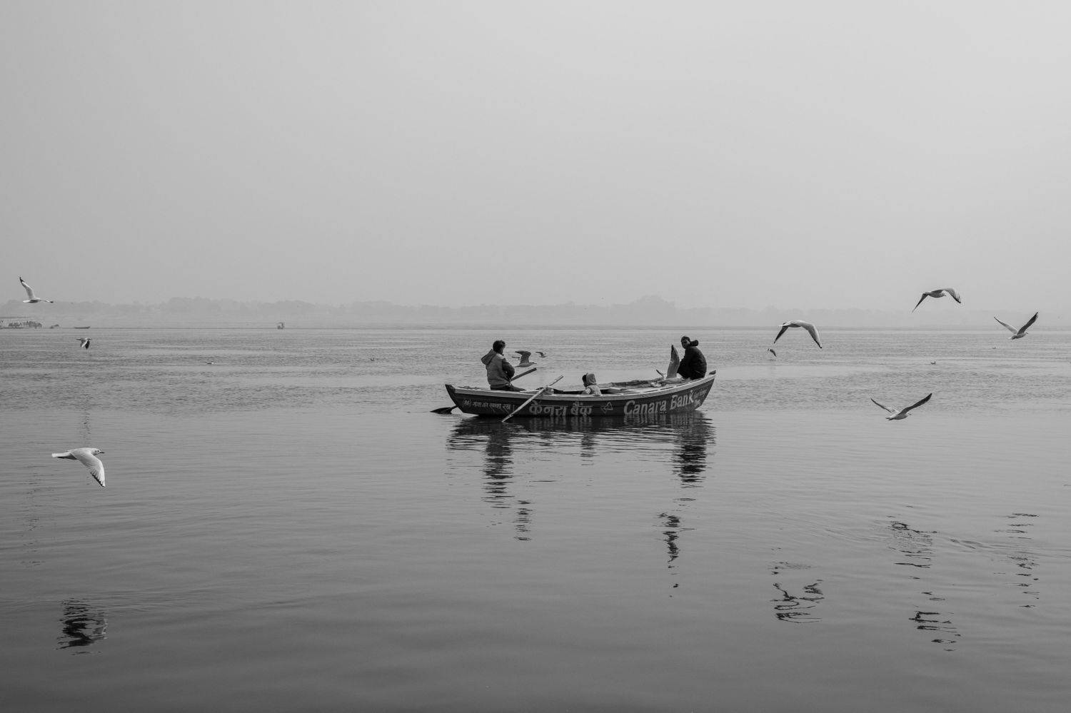 Monochrome, Travel, Boats, Birds, Flying, River, Ganga, NAVIN AGARWAL