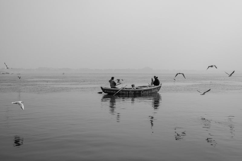 Monochrome, Travel, Boats, Birds, Flying, River, Ganga BOAT RIDE IN GANGES фото превью