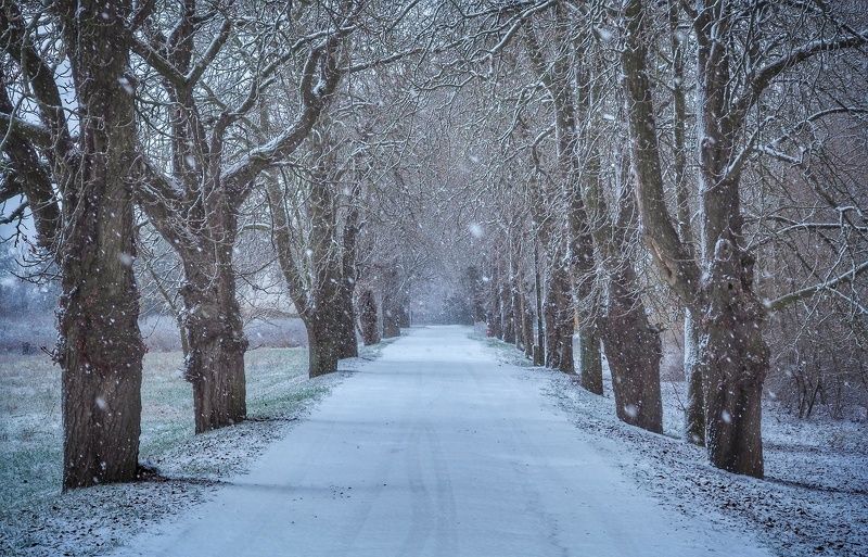 Winter time фото превью