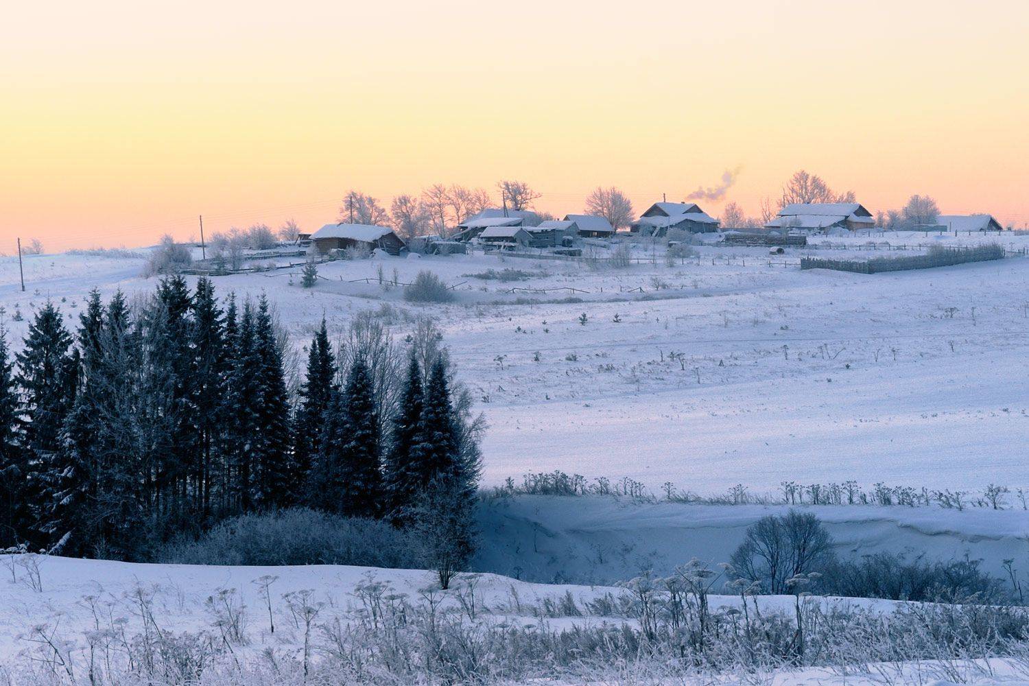 , Анатолий Гулин