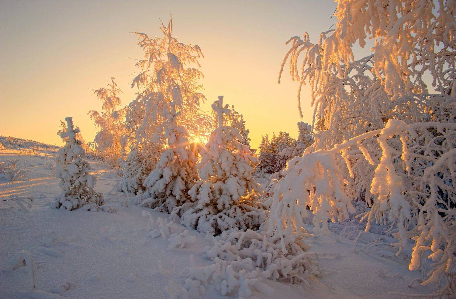 , Шустиков Дмитрий