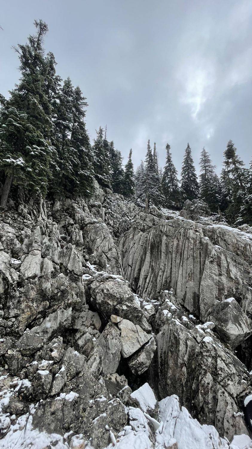 , Валерий Кочергин