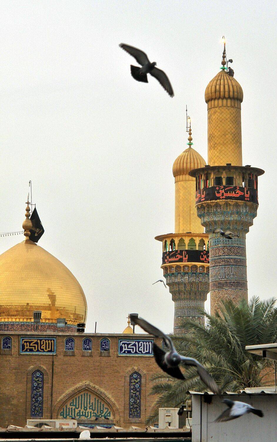 , غيث الساعدي