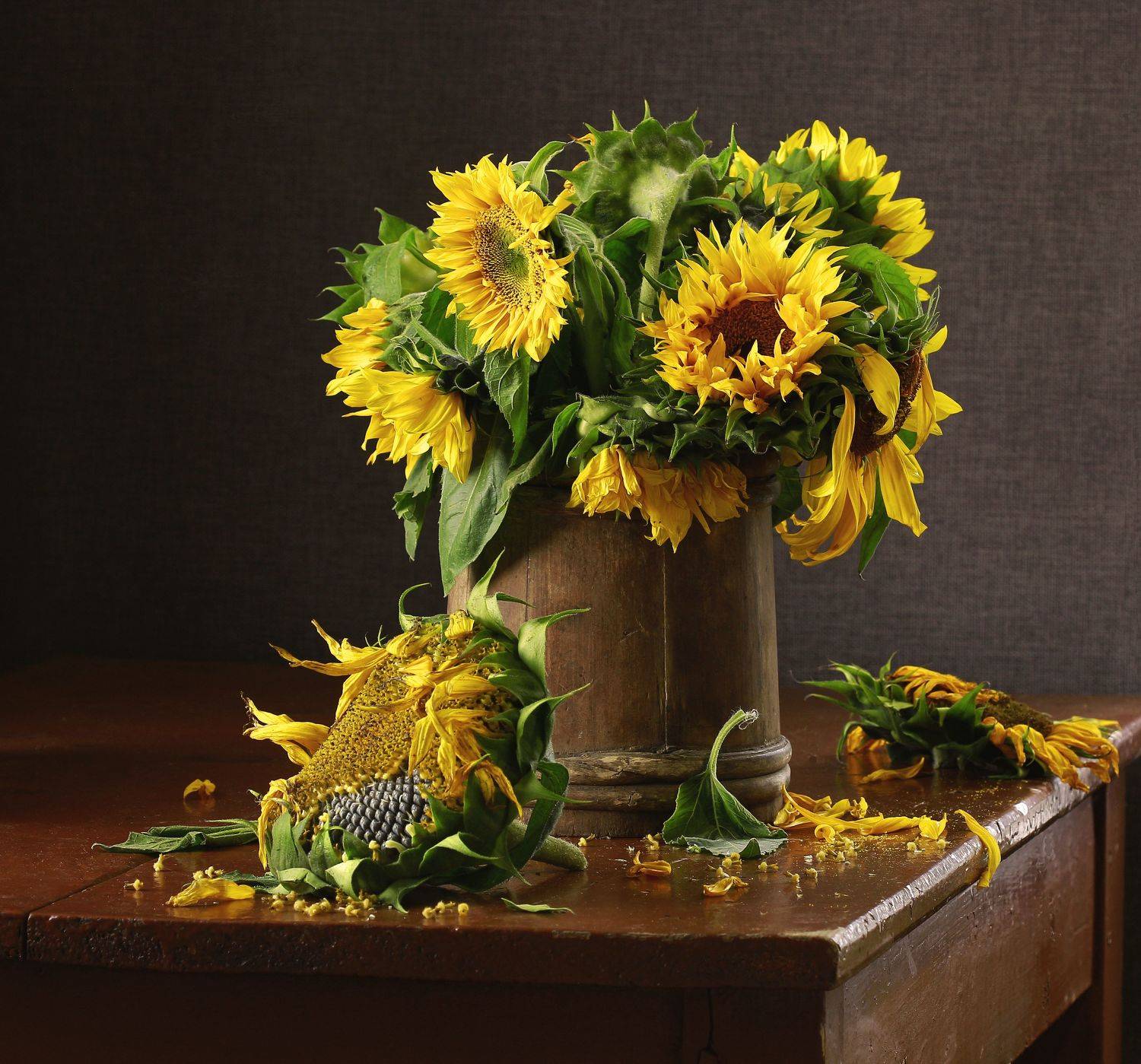 , Наталья Казанцева