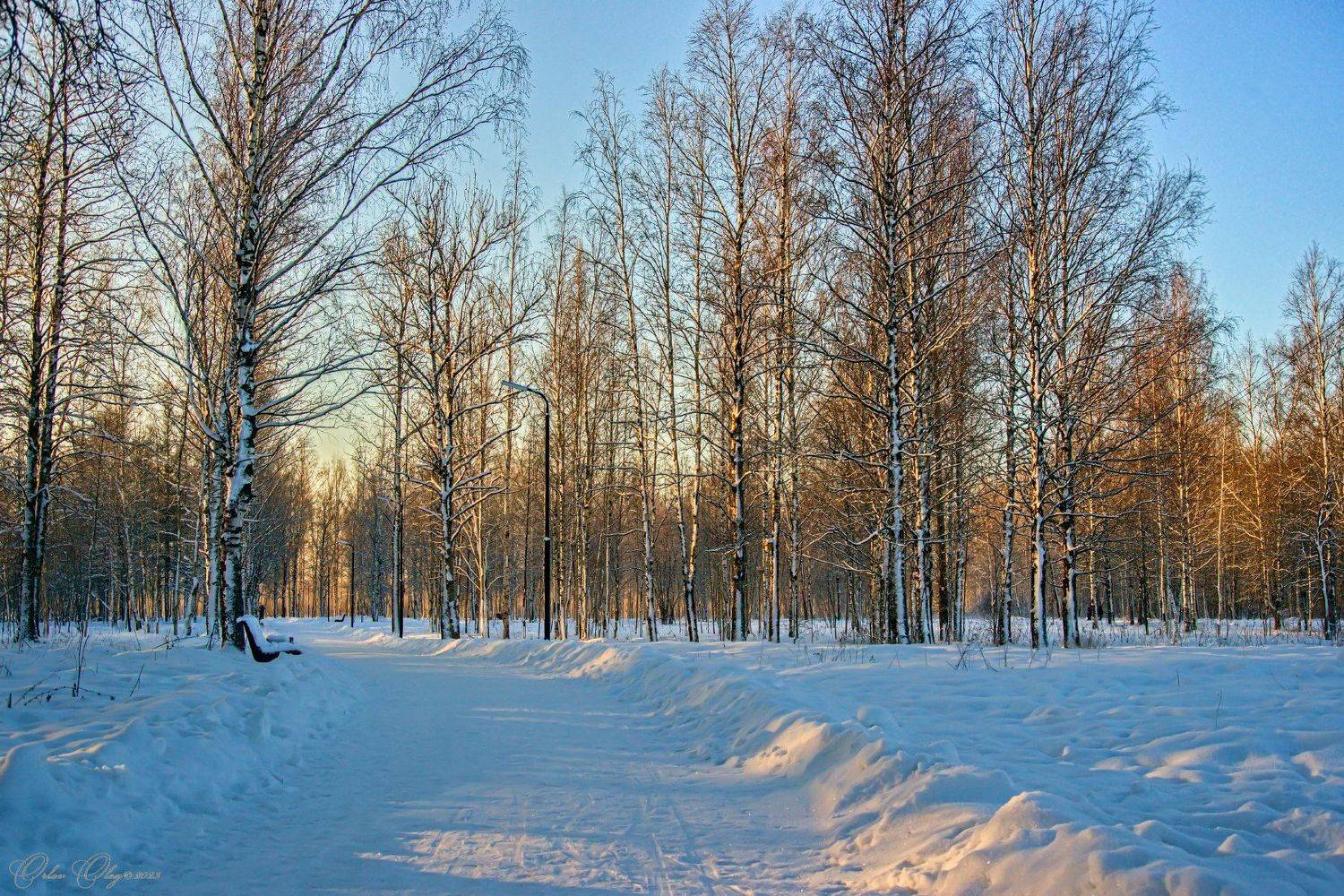 , Орлов Олег