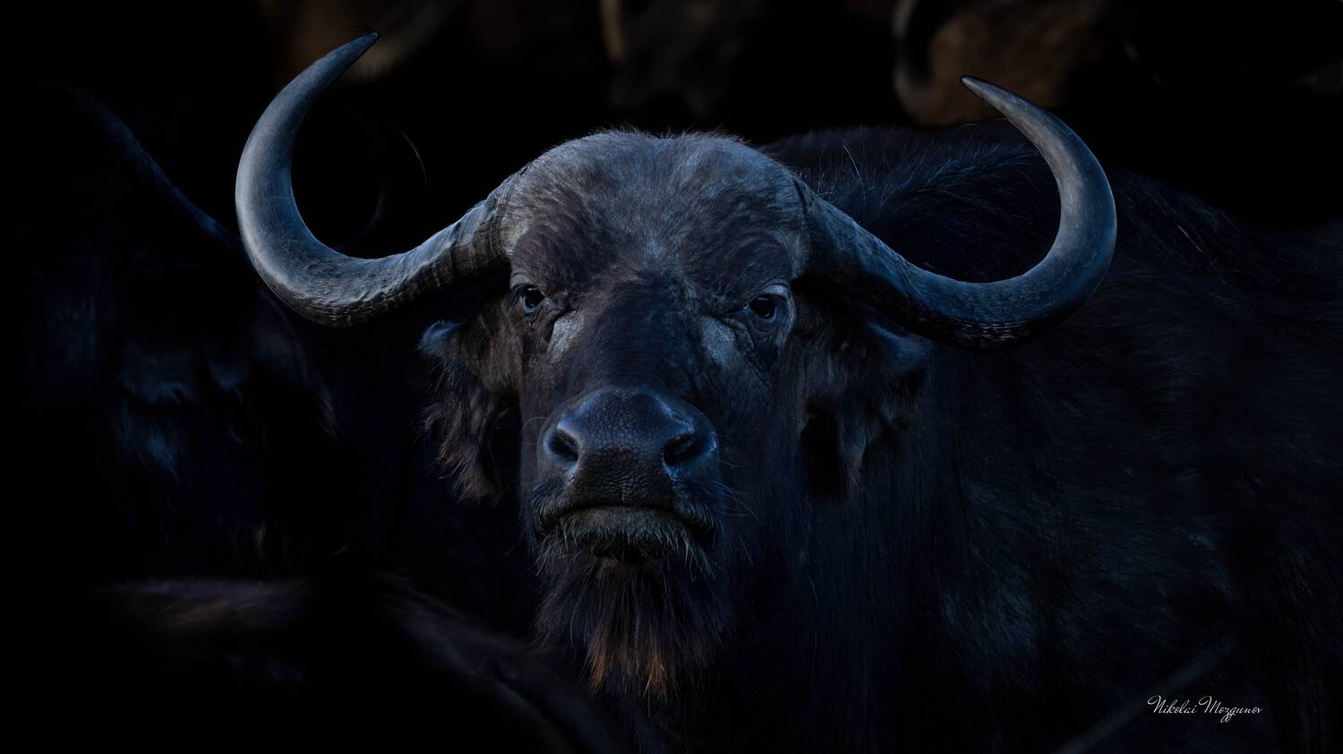 , Николай Мозгунов