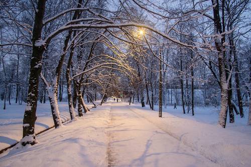 Зима в Петербурге