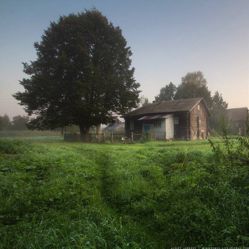 , Алексей Лобанов