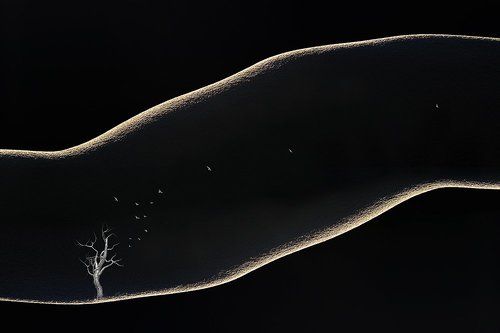 Black holes are not so black