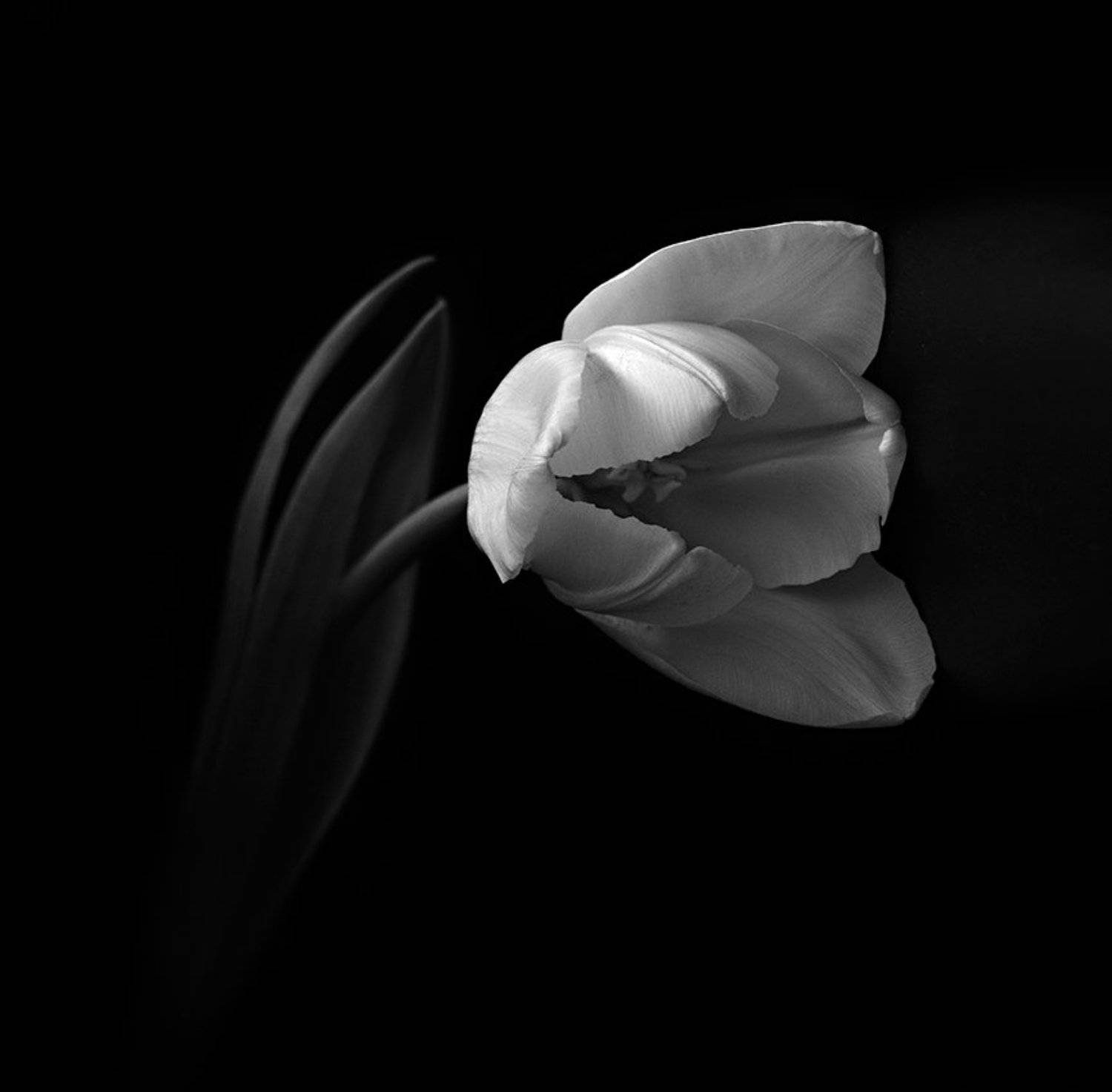 , Конищев Евгений