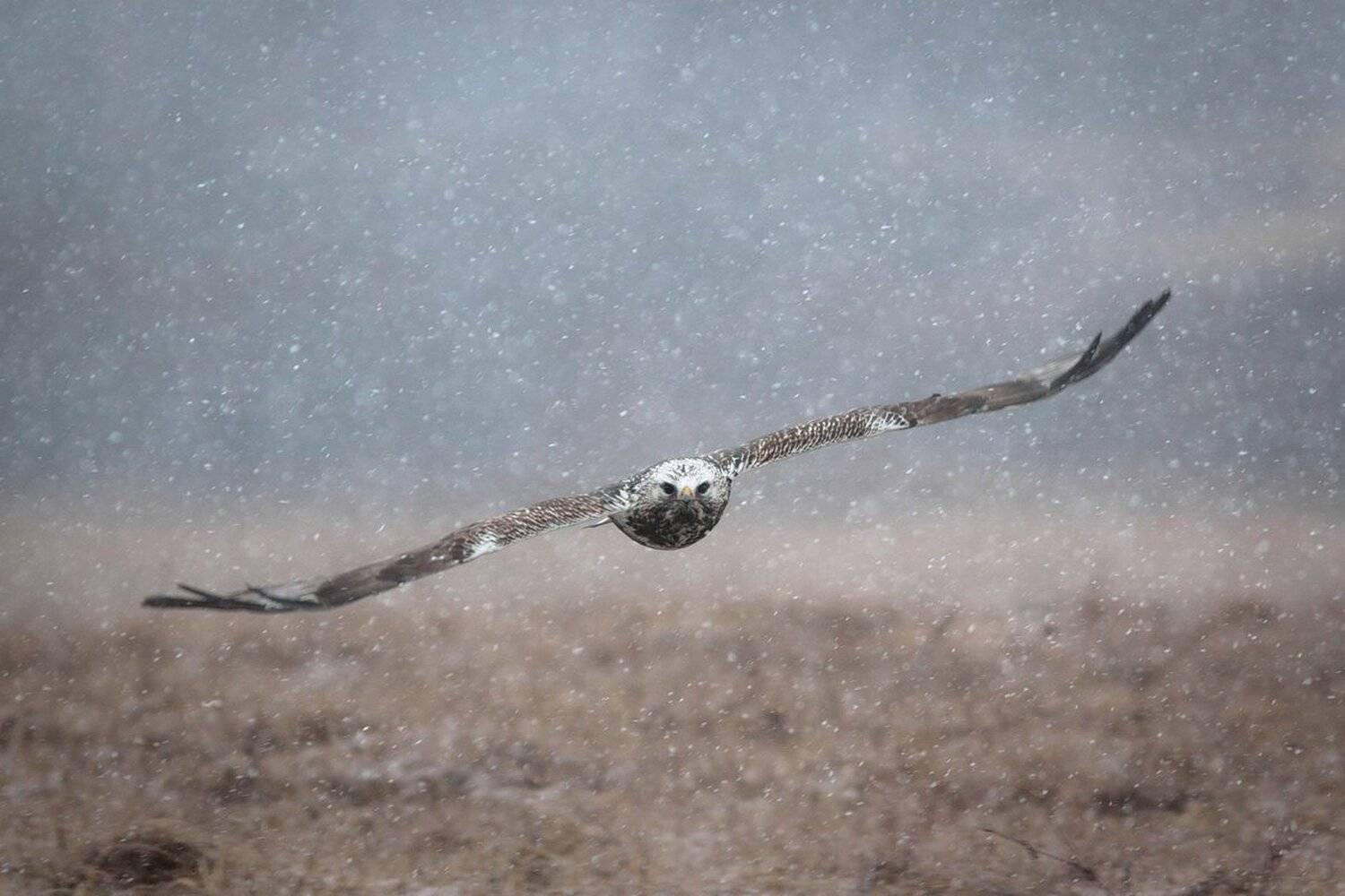 , Вилюнов Дмитрий