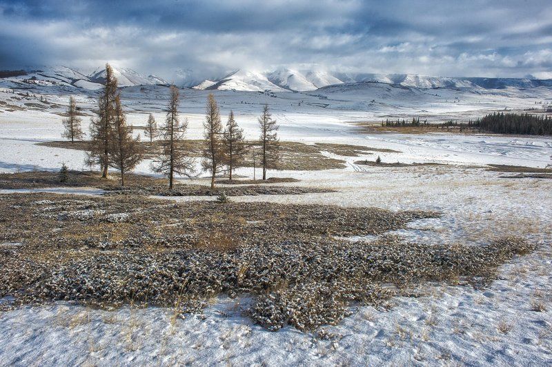 сказка Алтая... фото превью