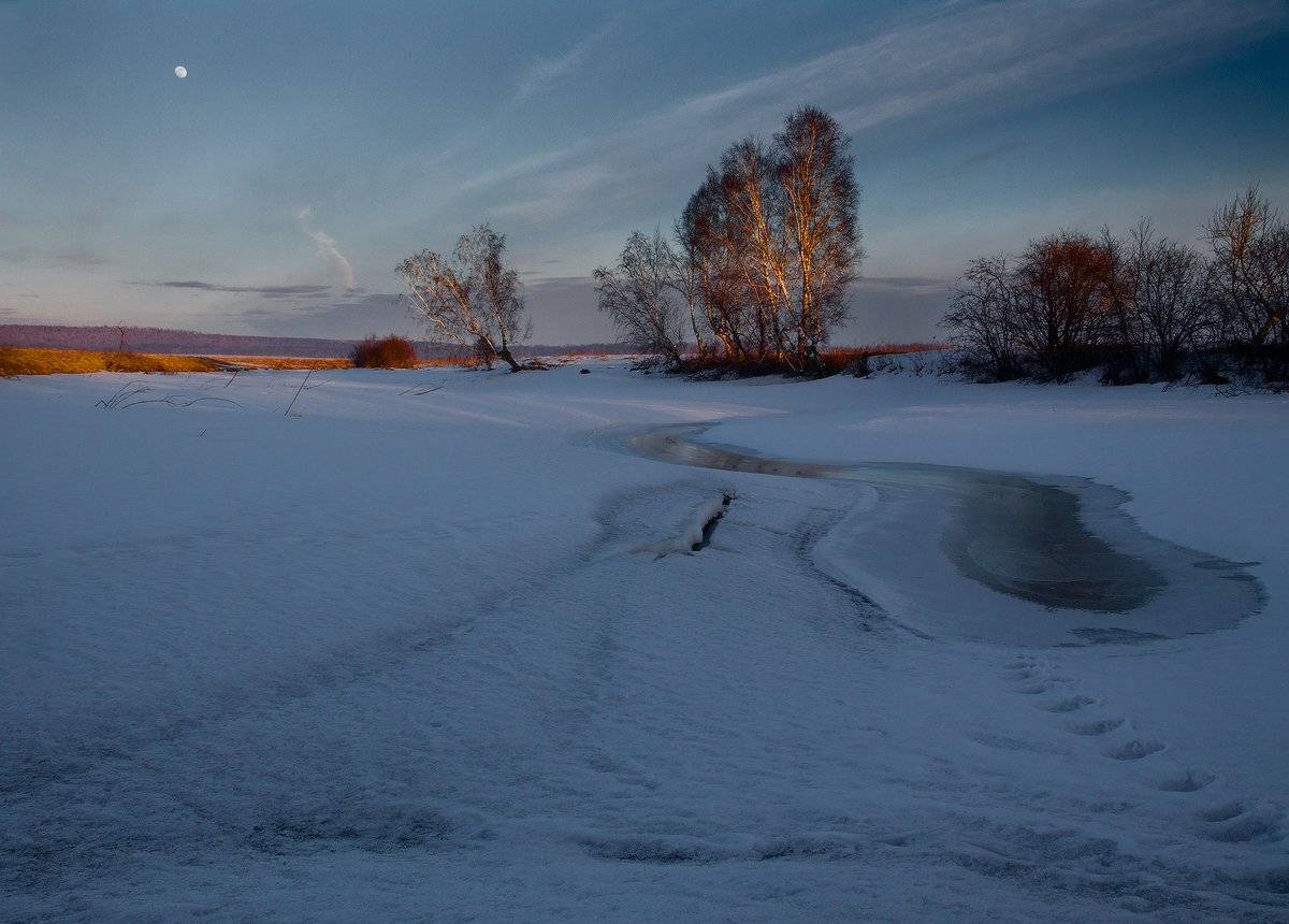 , Николай Морский