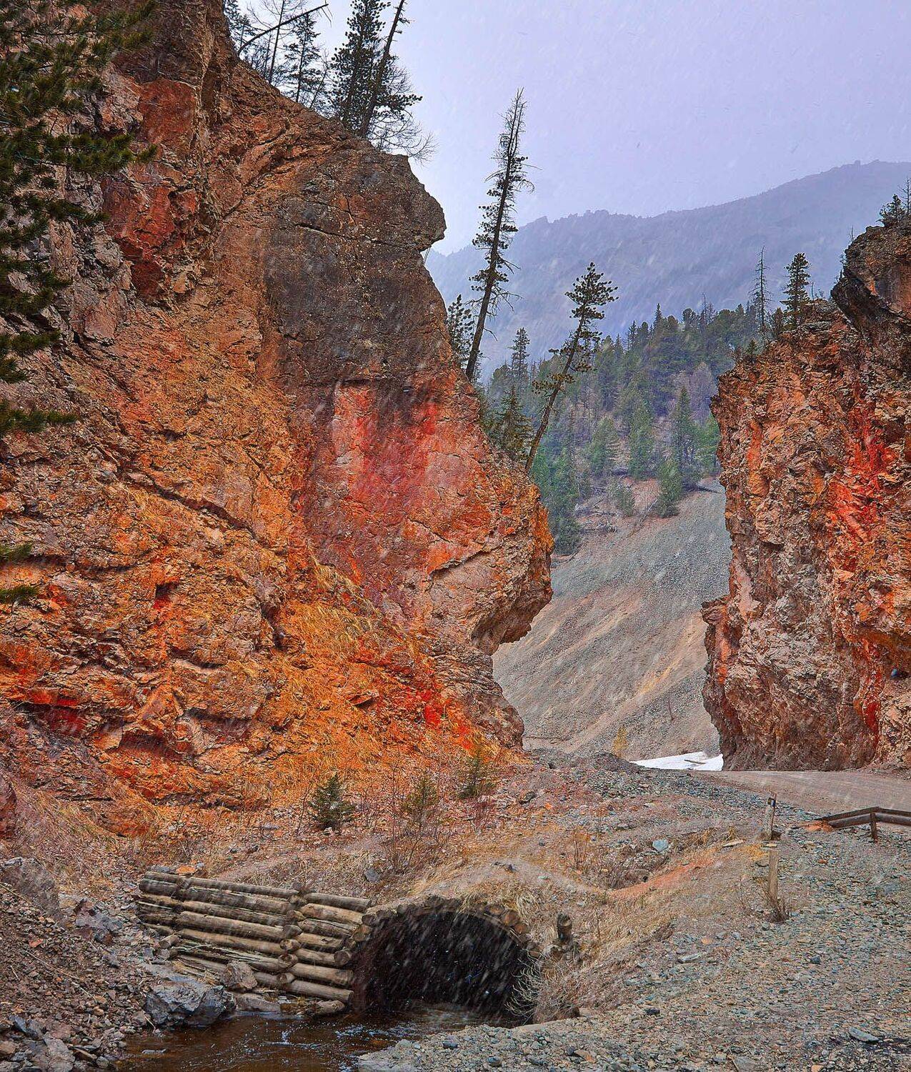 алтай, алтай край, качурин, качурин алексей, оренбургская область, орск, Качурин Алексей