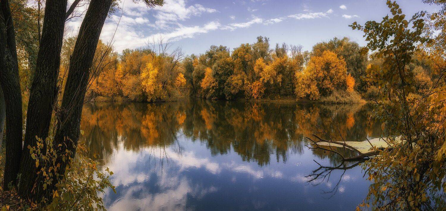 , Игорь Мелекесцев