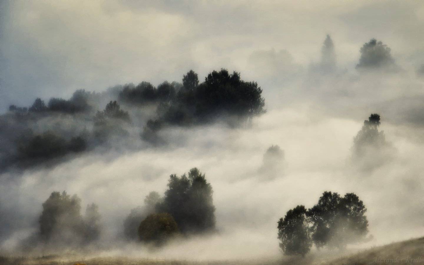 кавказ, Кчр, Александр Круль