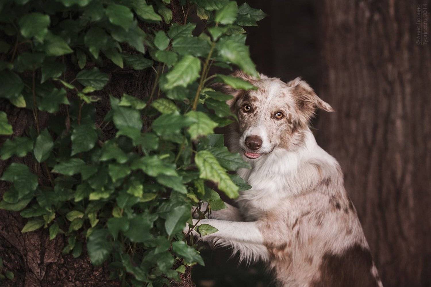 , Тюрина Анна