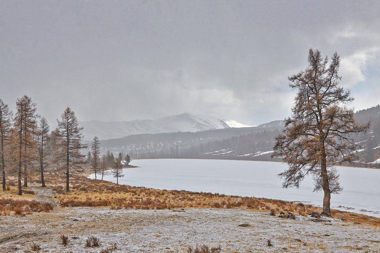 Алтай, Качурин алексей, Орск, Качурин Алексей