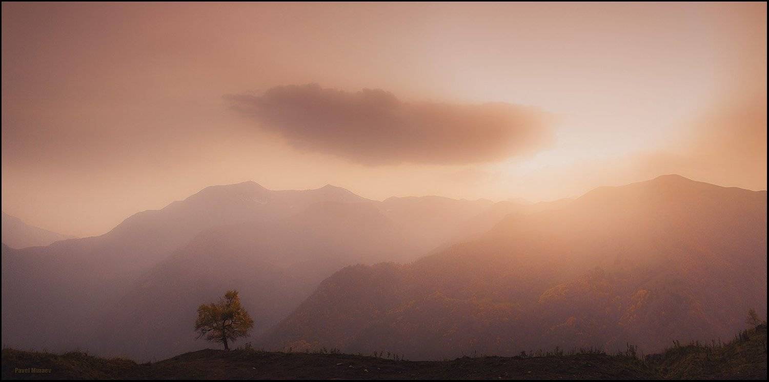 , Минаев Павел