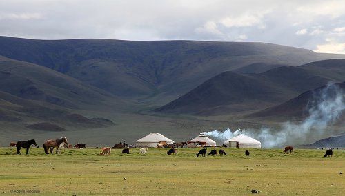 Вечер в степи.