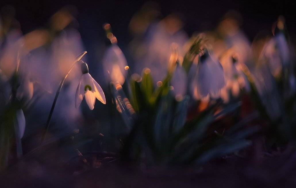 , Вячеслав Мищенко