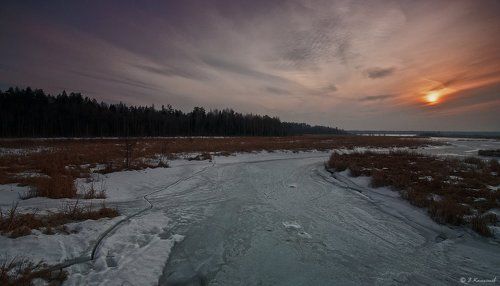 Весна в окно стучится и гонит со двора...