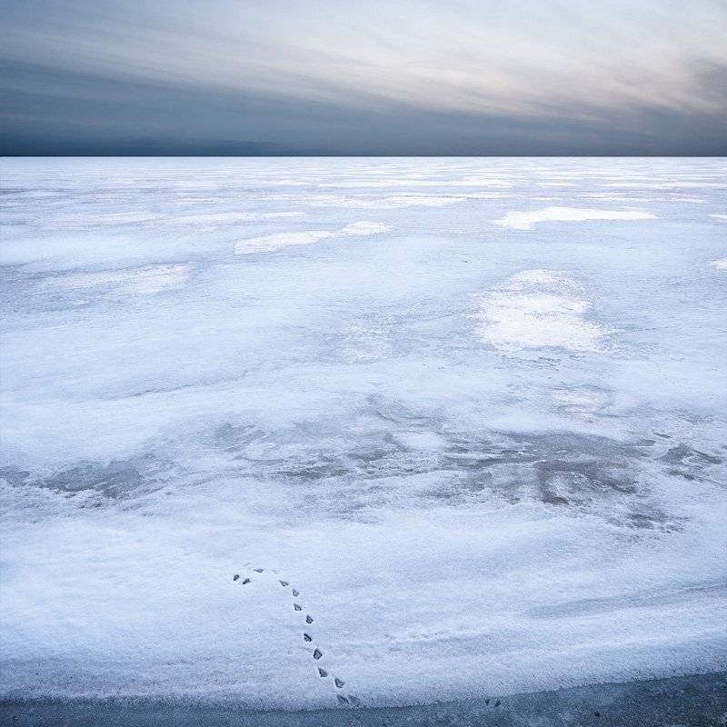 лед, зима, минимализм, следы, Федотов Антон