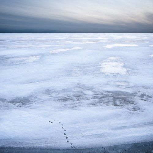 Здесь была