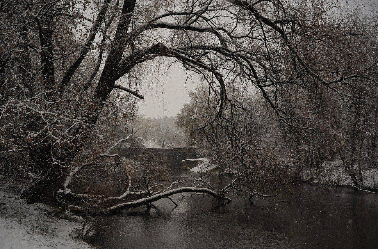 , Володимир Карчевський