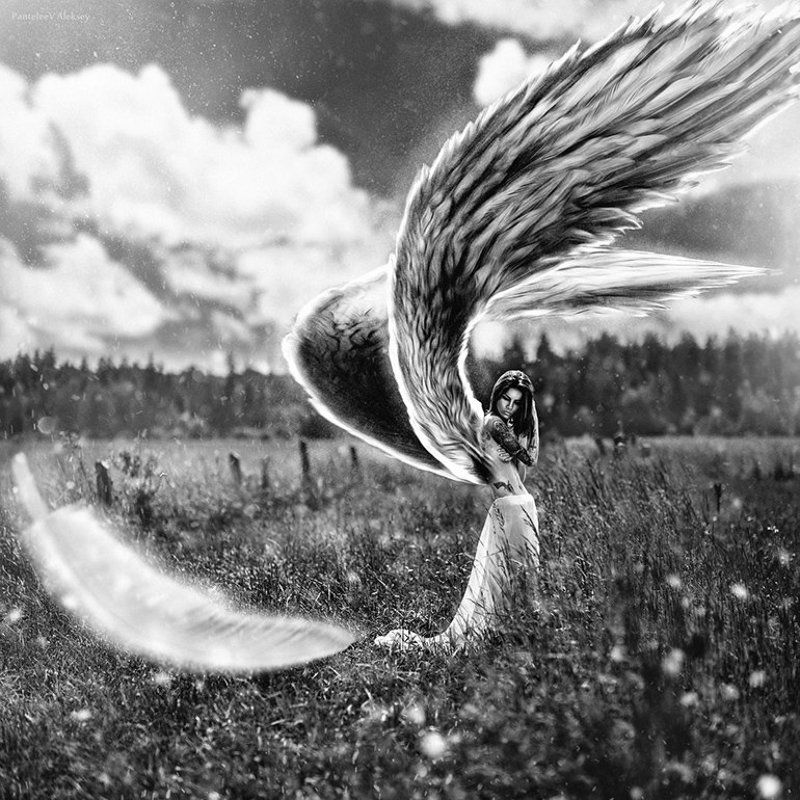 Коллаж, Портрет *** фото превью