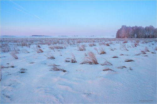 Розовое утро
