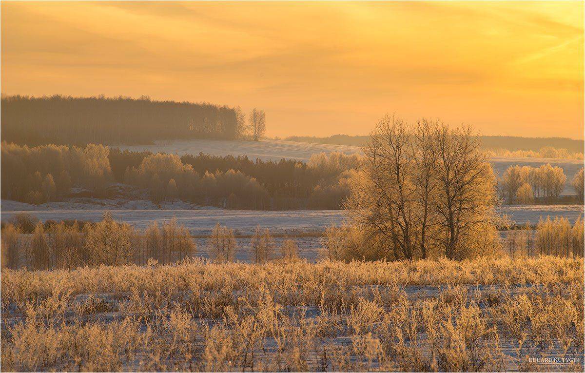 Зауралье, Зима., Курганская, Снег, Трава, Утро, Шадринский, Кутыгин Эдуард