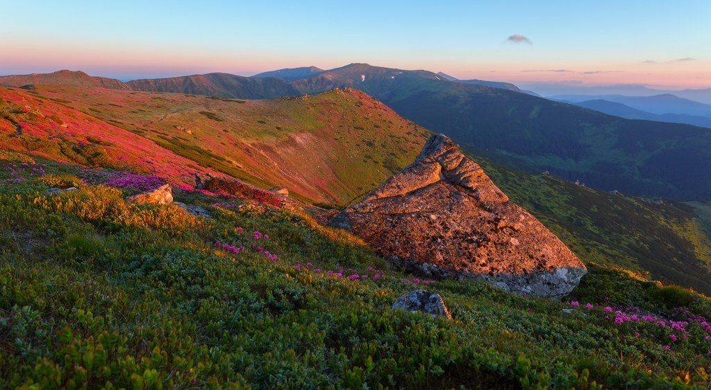 , Ярослав Тюрменко (Jaremi)