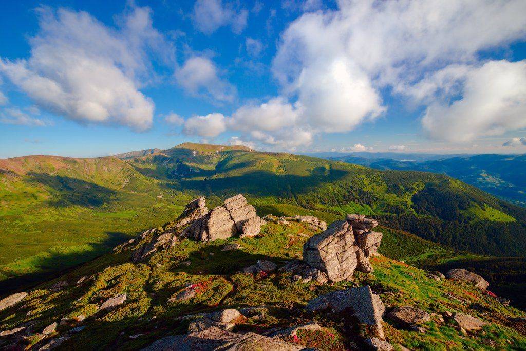 , Ярослав Тюрменко (Jaremi)