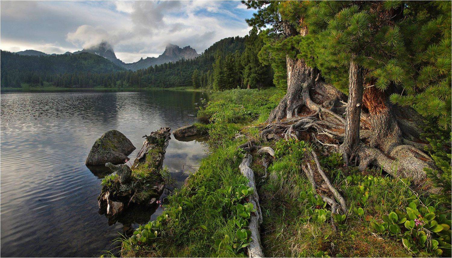 , Устинович Александр