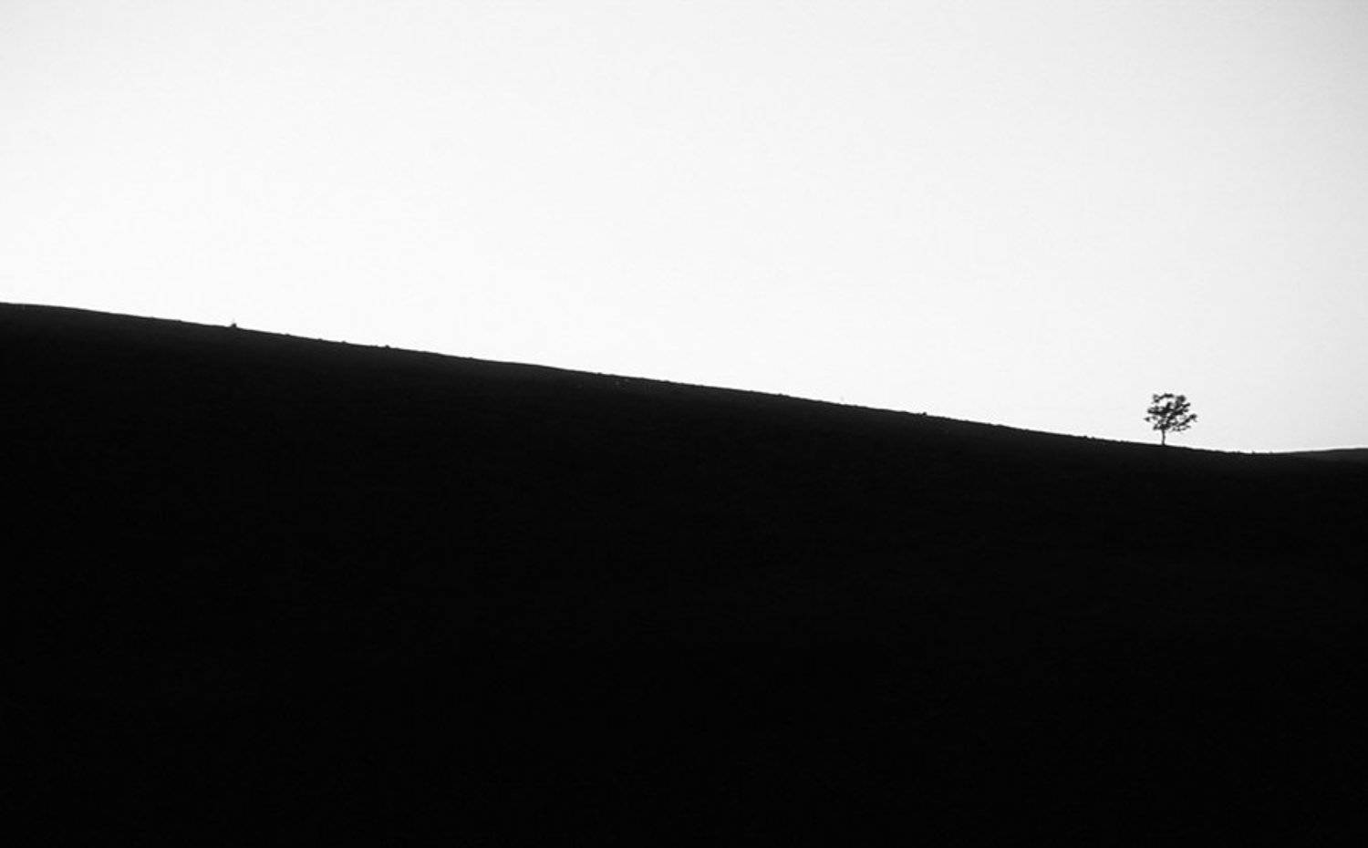 , Стамескин Даниил