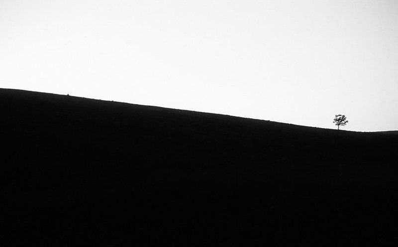 ... фото превью