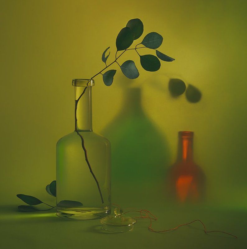 С веточкой эвкалипта... фото превью