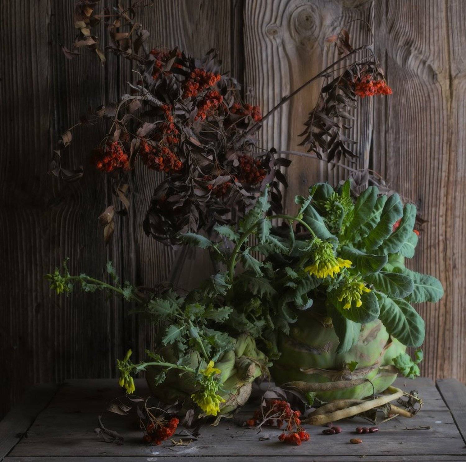 , Дмитрий Алексеев