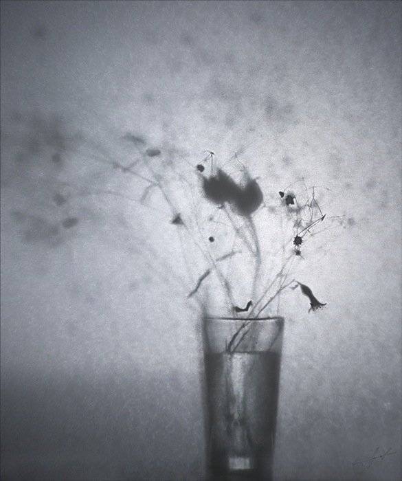 забытое*. Автор: Svoboda Andreeva , Svoboda Andreeva