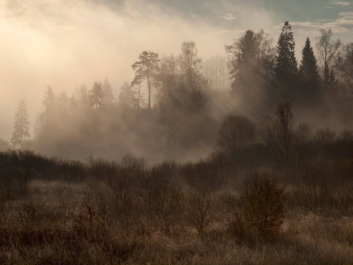 , Владимир Перепечаев