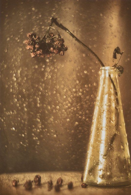 helios, гелиос ...в поисках света фото превью