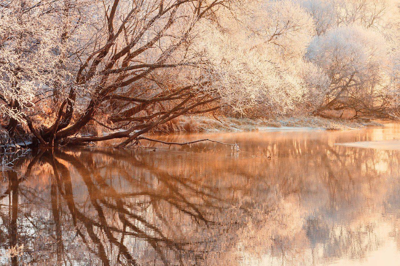 декабрь, Изморозь, Река Клева, Утро, Михаил Кушнер