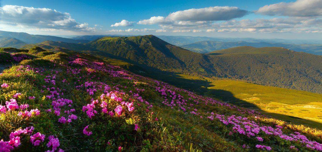 , Ярослав Тюрменко (Jaremi)